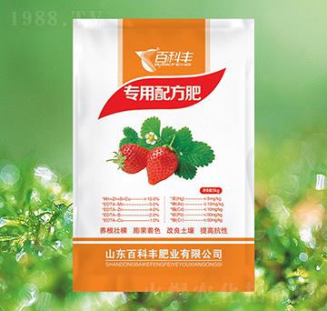 ��ݮ��(zhu��n)���䷽��-�ٿ��S