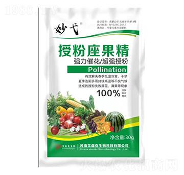 �ڷ�������-���-��ɭ��