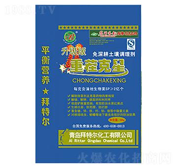 �ز����������-���ؠ�