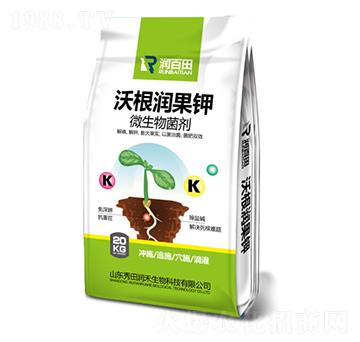 20kg�ָ������-�����