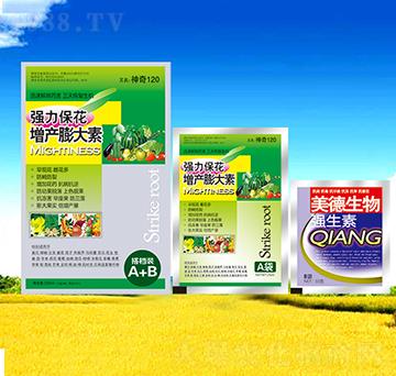 �������a(ch��n)�����-������