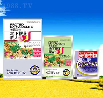 ���¸��o�����-������