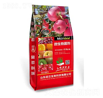 40kg΢�������-��