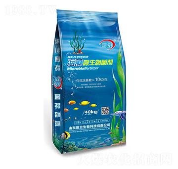 ����΢�������-����-