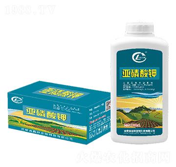 �������-�W������