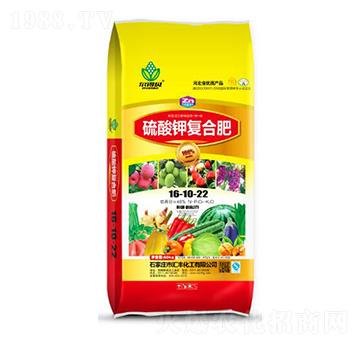 ����⛏ͺϷ�16-10-22-�R�S����