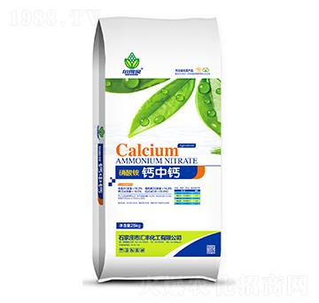 �����@�}���}-�R�S����