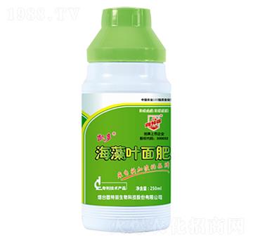 �����~���-������