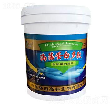 ���嵰�׶���-ʩ����-ԣ��߿�