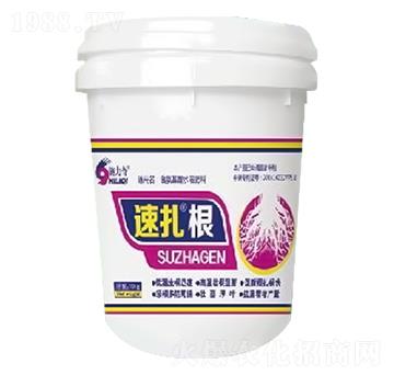 ������-ʩ����-ԣ��߿�