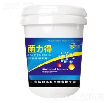 ������΢�����������-ԣ��߿�