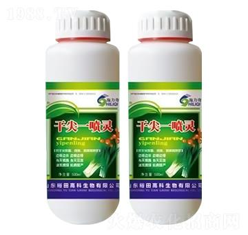 �ɼ�һ���`(�²��[���猣(zhu��n)��)-ʩ����-ԣ��߿�