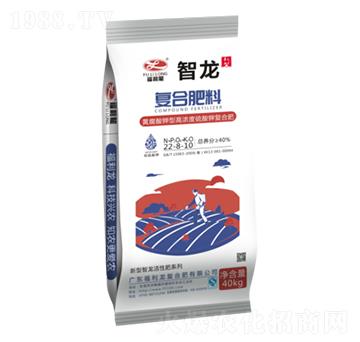 �ͺϷ���22-8-10