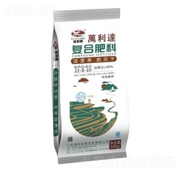 �ͺϷ���22-8-10