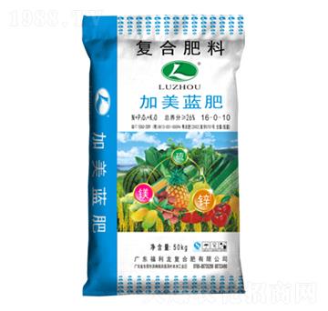 �����{�ʏͺϷ���16-