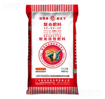 ���������ͺϷ���17-