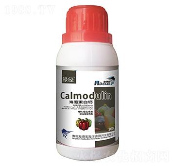 ���嵰���}-���Ì�