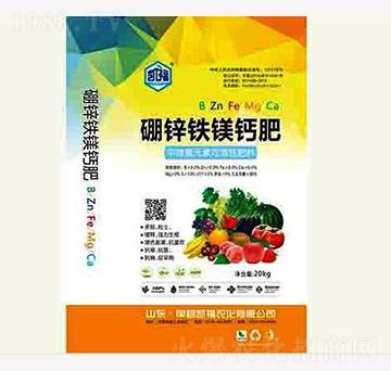 20kg���\�F�V�}��-���