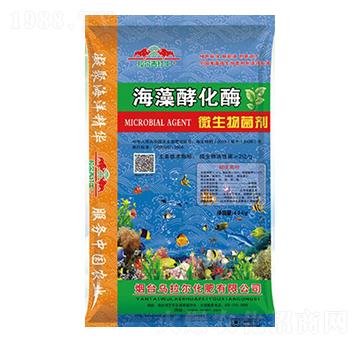 ����ͻ�ø-΢�������-������