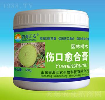 �������ϸ�-�ĺ��R�r(n��ng)