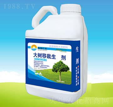 ���(sh��)�������L(zh��ng)��-�ĺ��R�r(n��ng)