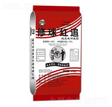 ���o�C�_ʩ��-����