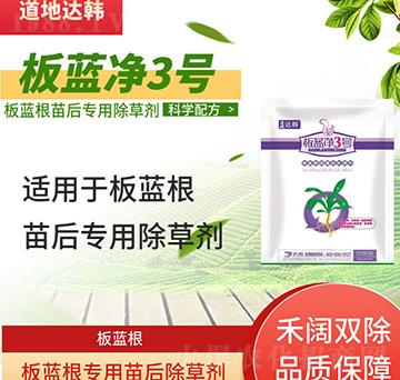 ���{(l��n)�����݄�-���{(l��n)�����-���{(l��n)����(zhu��n)��-���n