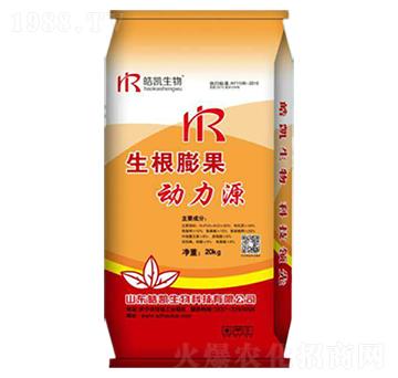 �����������Դ-�P����