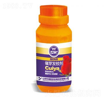 �^����(zhu��n)�ô�ѿ�l(f��)֦��-��