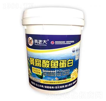 �S�����~(y��)����-�S�ϴ�-