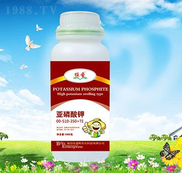 �������00-510-