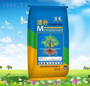 ���a(b��)�}�V���\�F�~-ֲʥ