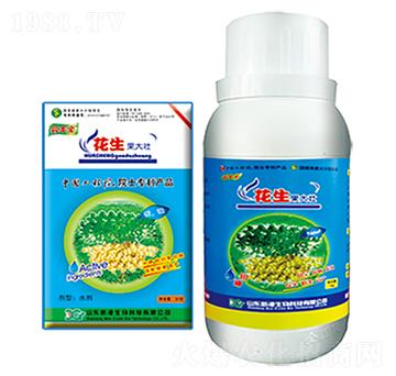 ��������-���������-�¸�����