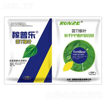 �|T�G�~-���՘�-���ɷʘI(y��)