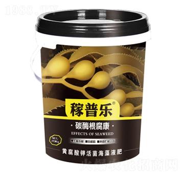 ̼ø������-���՘�-���ɷʘI(y��)