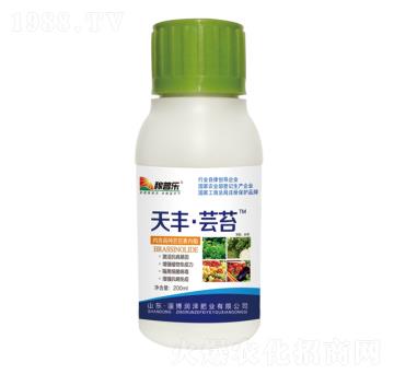 ���S���|̦-���՘�(l��)-��(r��n)�ɷʘI(y��)