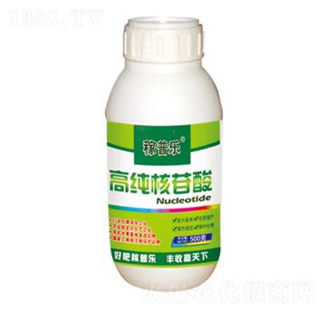 �߼�������-���՘�-��(r��n)�ɷʘI(y��)