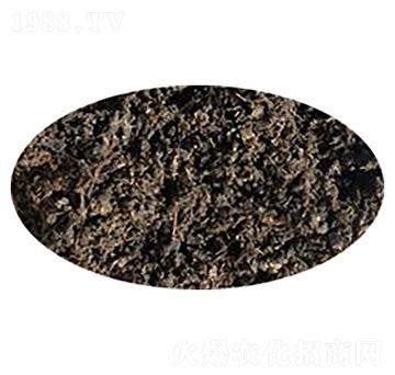 ��S�w����-��������