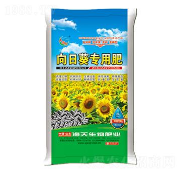 ���տ���(zhu��n)�÷�-��������