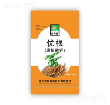 ��(y��u)������ֲ��⛣�-����