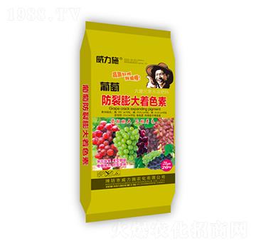 ���ѷ��������ɫ��-��