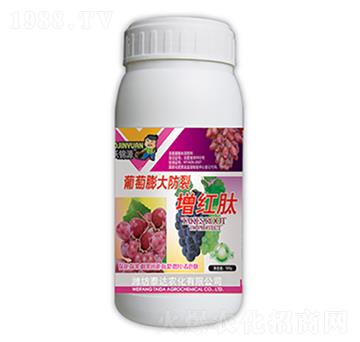 �������������t��-̩