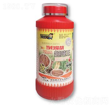 ��(d��ng)�w���������-̩�_(d��)�r(n��ng)