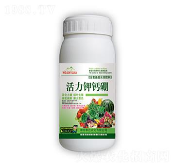 ������}�𣨾G��-̩�_(d��)