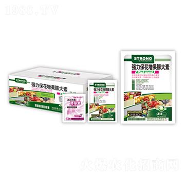 ��(qi��ng)���������������-̩