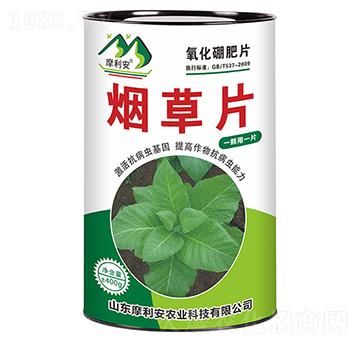 ����Ƭ-Ħ����