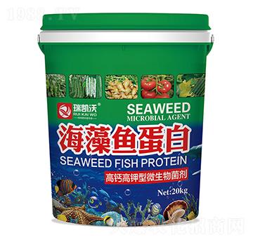 �����~����-���Wɭ