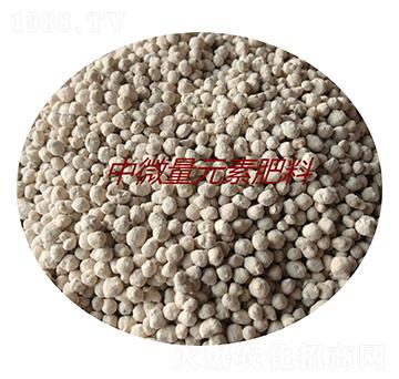 ��΢��Ԫ�ط��ϣ��w����-�𝙰l(f��)����