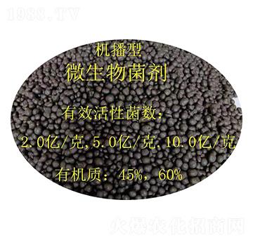 �C����΢�������-�𝙰l(f��)����