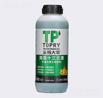 ����ʮ��Ԫ��-�^�ȴ���